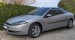 Cougar category icon/image